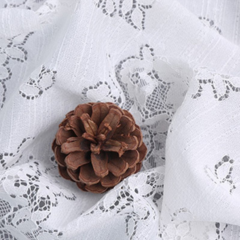 Lace Fabric Dress Nylon for Women's Wear Wholesale Supplier 7